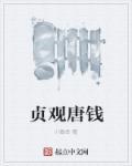 贞观唐钱全文TXT